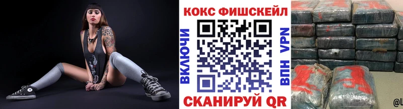 Cocaine Fish Scale  Купить закладки  Бахчисарай 