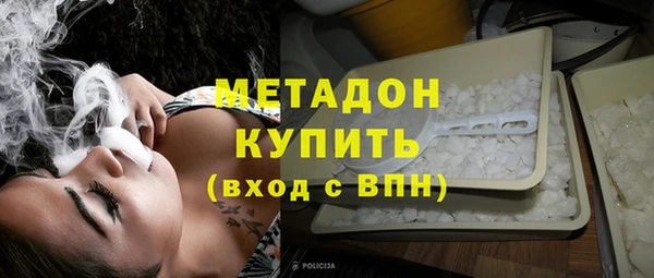 индика Аркадак