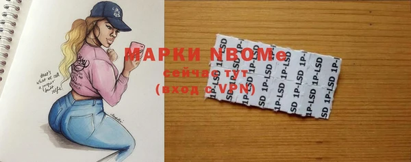 индика Аркадак