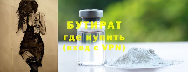 индика Аркадак