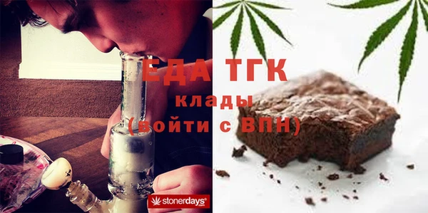 индика Аркадак