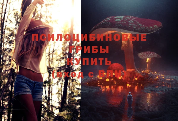 индика Аркадак