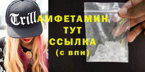 индика Аркадак